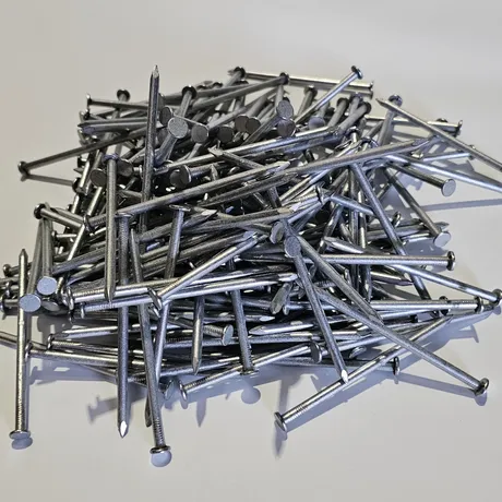 Galvanised Nails 100mm - 2.5kg image